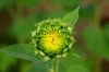 Image00007.jpg