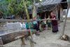 LAOS_(81).jpg