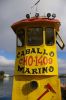 IMGP8902.jpg