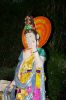 imgp0417.jpg